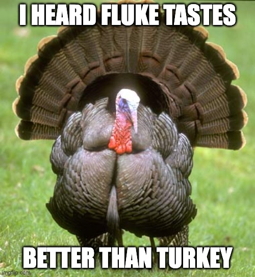 Happy Fluke Day |  I HEARD FLUKE TASTES; BETTER THAN TURKEY | image tagged in memes,turkey,thanksgiving,fluke,fishing,fisherman | made w/ Imgflip meme maker