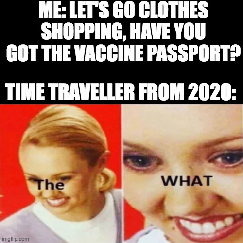 Time traveller vaccine passport |  ME: LET'S GO CLOTHES SHOPPING, HAVE YOU GOT THE VACCINE PASSPORT? TIME TRAVELLER FROM 2020: | image tagged in the what,vaccines,vaccine passport,time traveller | made w/ Imgflip meme maker