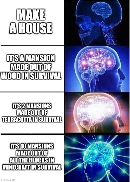 no one can do it I mean, like, no one | MAKE A HOUSE; IT’S A MANSION MADE OUT OF WOOD IN SURVIVAL; IT’S 2 MANSIONS MADE OUT OF TERRACOTTA IN SURVIVAL; IT’S 10 MANSIONS MADE OUT OF ALL THE BLOCKS IN MINECRAFT IN SURVIVAL | image tagged in memes,expanding brain,minecraft | made w/ Imgflip meme maker