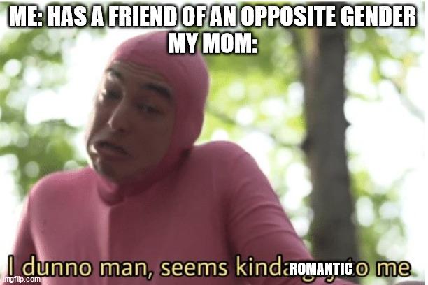 idk | ME: HAS A FRIEND OF AN OPPOSITE GENDER
MY MOM:; ROMANTIC | image tagged in i dunno man seems kinda gay to me | made w/ Imgflip meme maker