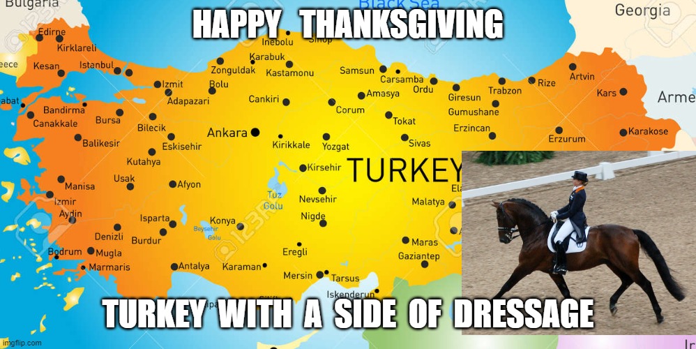 Turkey and Dressage | HAPPY   THANKSGIVING; TURKEY  WITH  A  SIDE  OF  DRESSAGE | image tagged in humor,thanksgiving | made w/ Imgflip meme maker