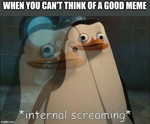 Private Internal Screaming | WHEN YOU CAN'T THINK OF A GOOD MEME | image tagged in private internal screaming | made w/ Imgflip meme maker