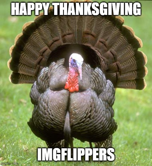 Turkey Meme |  HAPPY THANKSGIVING; IMGFLIPPERS | image tagged in memes,turkey | made w/ Imgflip meme maker