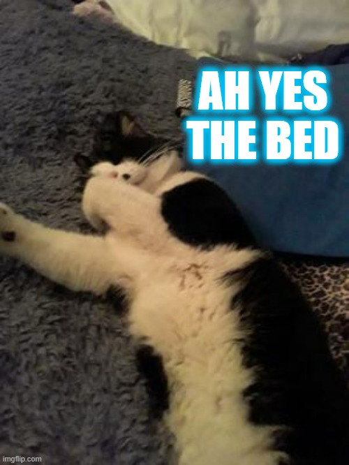 AH YES THE BED | made w/ Imgflip meme maker