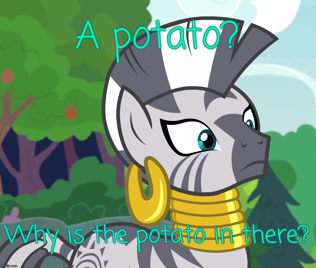 Concerned Zecora (MLP) | A potato? Why is the potato in there? | image tagged in concerned zecora mlp | made w/ Imgflip meme maker