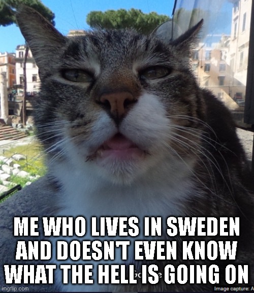 oh | ME WHO LIVES IN SWEDEN AND DOESN'T EVEN KNOW WHAT THE HELL IS GOING ON | image tagged in oh | made w/ Imgflip meme maker