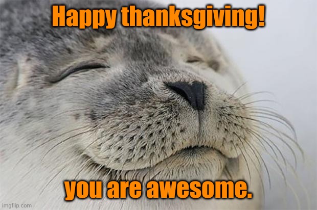 Satisfied Seal Meme |  Happy thanksgiving! you are awesome. | image tagged in memes,satisfied seal | made w/ Imgflip meme maker
