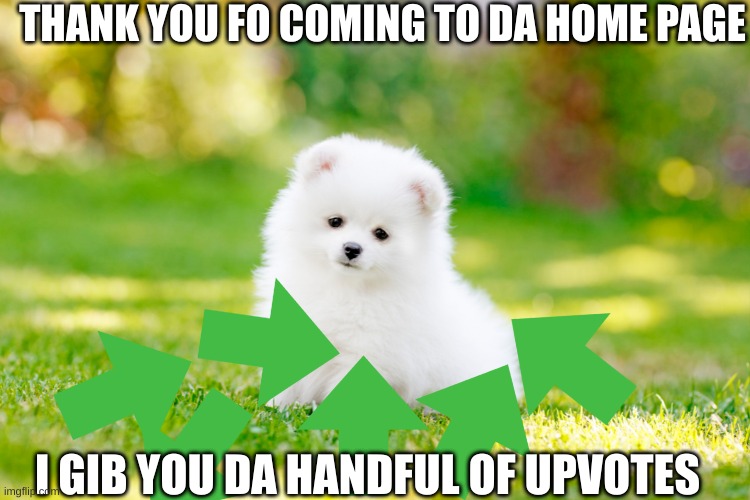 doggy gib you upvote | THANK YOU FO COMING TO DA HOME PAGE; I GIB YOU DA HANDFUL OF UPVOTES | image tagged in wholesome dog images,cute doggy,take upvotes,memes,love from puppy | made w/ Imgflip meme maker
