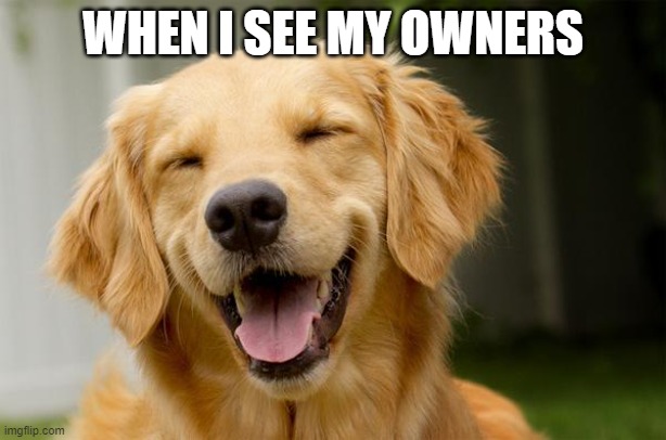 Happy Dog | WHEN I SEE MY OWNERS | image tagged in happy dog | made w/ Imgflip meme maker