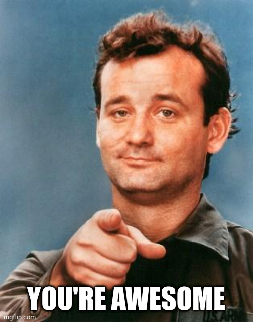 Bill Murray You're Awesome | YOU'RE AWESOME | image tagged in bill murray you're awesome | made w/ Imgflip meme maker
