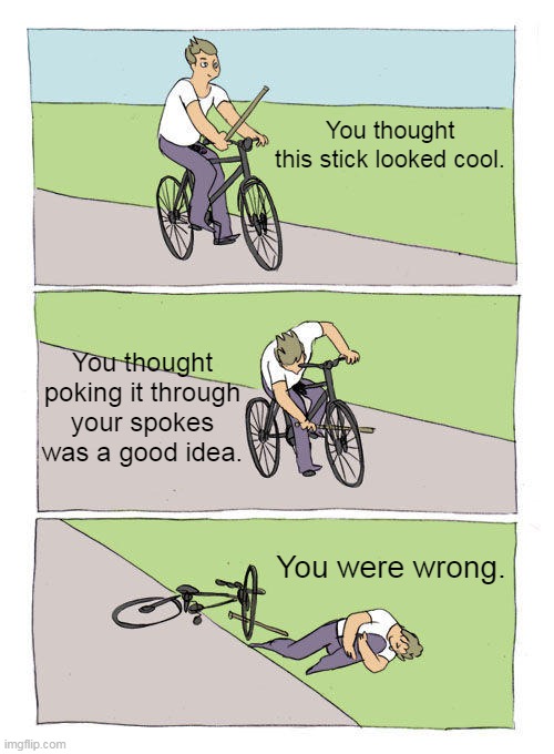 Bike Fall | You thought this stick looked cool. You thought poking it through your spokes was a good idea. You were wrong. | image tagged in memes,bike fall,meta | made w/ Imgflip meme maker
