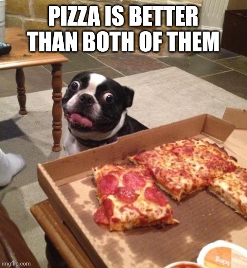 Hungry Pizza Dog | PIZZA IS BETTER THAN BOTH OF THEM | image tagged in hungry pizza dog | made w/ Imgflip meme maker