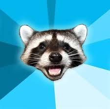 raccoon Blank Meme Template