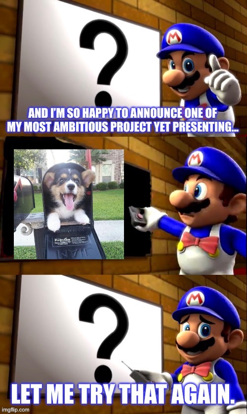 SMG4 TV | image tagged in smg4 tv,dogs,memes,cute dogs,smg4 | made w/ Imgflip meme maker