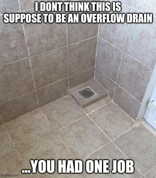 one job | I DONT THINK THIS IS SUPPOSE TO BE AN OVERFLOW DRAIN; ...YOU HAD ONE JOB | image tagged in memes,drain,overflow,you had one job | made w/ Imgflip meme maker