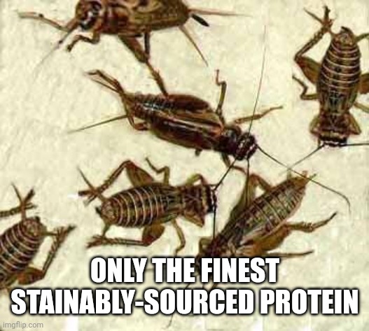 Crickets | ONLY THE FINEST STAINABLY-SOURCED PROTEIN | image tagged in crickets | made w/ Imgflip meme maker