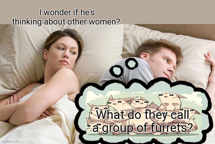 A furrrr | I wonder if he's thinking about other women? What do they call a group of furrets? | image tagged in memes,i bet he's thinking about other women,furret,pokemon,anime,dumb bf | made w/ Imgflip meme maker