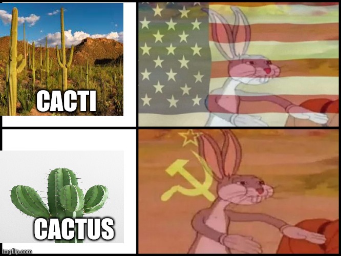 Capitalist and communist | CACTI; CACTUS | image tagged in capitalist and communist | made w/ Imgflip meme maker