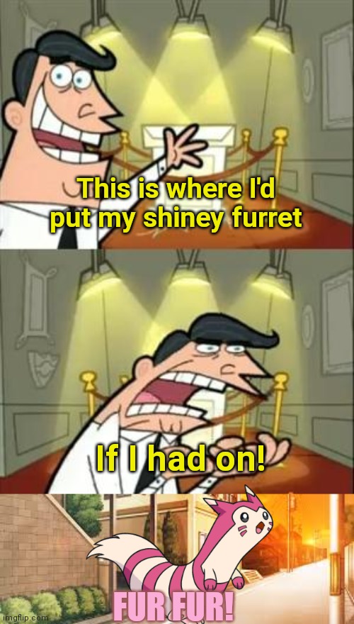 Shinies |  This is where I'd put my shiney furret; If I had on! FUR FUR! | image tagged in memes,this is where i'd put my trophy if i had one,shiny,pokemon,furret | made w/ Imgflip meme maker