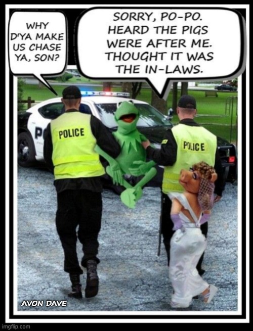 TAKE ME TO PRISON |  AVON DAVE | image tagged in muppets,kermit,in-laws,family,arrested,police | made w/ Imgflip meme maker