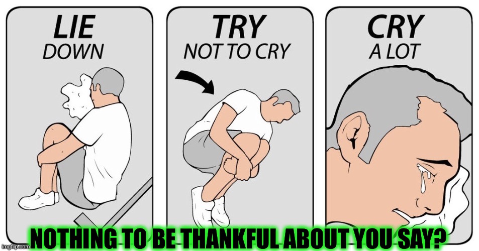 try not to cry | NOTHING TO BE THANKFUL ABOUT YOU SAY? | image tagged in try not to cry | made w/ Imgflip meme maker