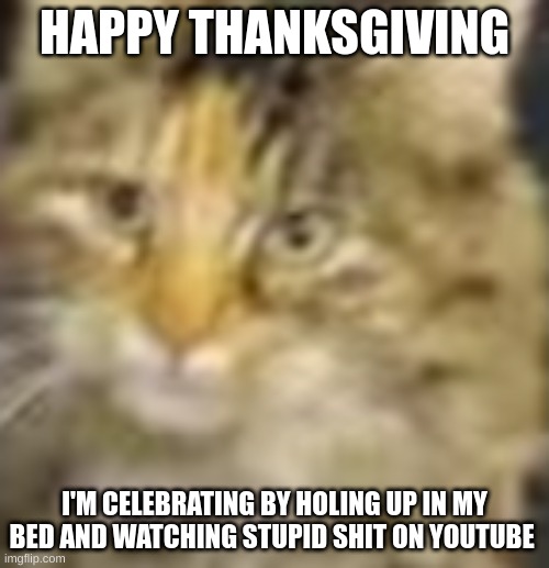 HAPPY THANKSGIVING; I'M CELEBRATING BY HOLING UP IN MY BED AND WATCHING STUPID SHIT ON YOUTUBE | image tagged in cocoa | made w/ Imgflip meme maker