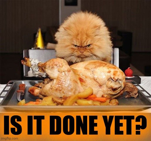 Happy Thanksgiving | IS IT DONE YET? | image tagged in happy thanksgiving,well done,feast,too much,never ending story | made w/ Imgflip meme maker