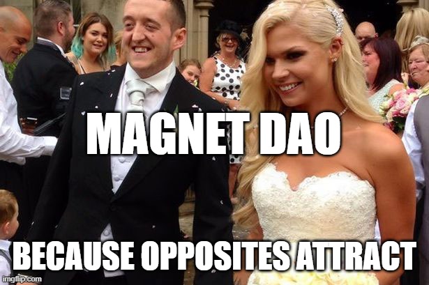 Opposites attract | MAGNET DAO; BECAUSE OPPOSITES ATTRACT | image tagged in ugly man beautiful woman | made w/ Imgflip meme maker