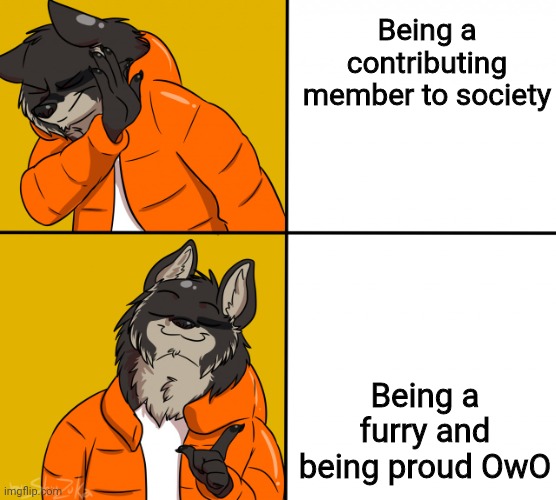 Yes | Being a contributing member to society; Being a furry and being proud OwO | image tagged in furry drake hotline bling | made w/ Imgflip meme maker