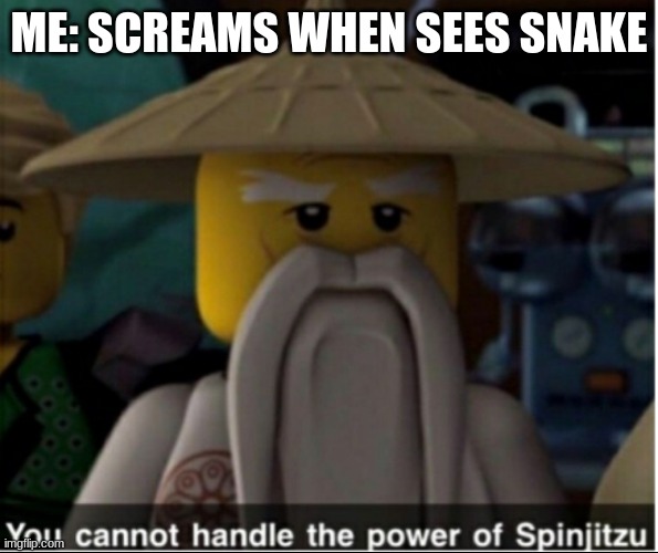 You cannot handle the power of Spinjitzu | ME: SCREAMS WHEN SEES SNAKE | image tagged in you cannot handle the power of spinjitzu | made w/ Imgflip meme maker