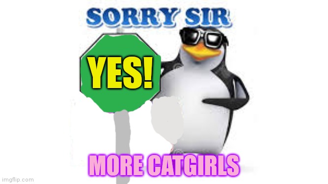 New pro anime penguin | YES! MORE CATGIRLS | image tagged in no anime allowed,pro anime,penguin,new template | made w/ Imgflip meme maker