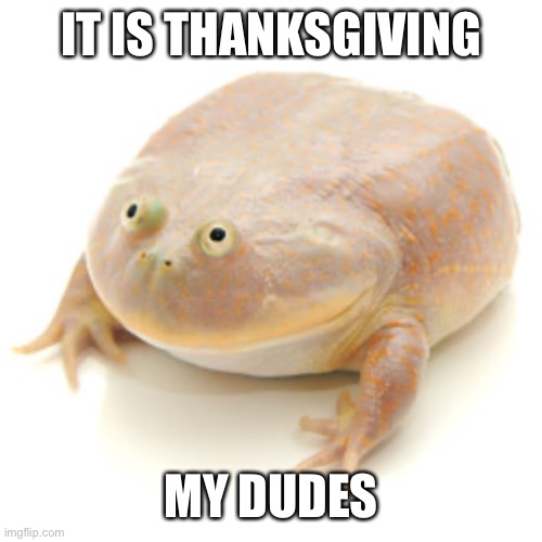 It is Thanksgiving My Dudes | IT IS THANKSGIVING; MY DUDES | image tagged in it is wednesday my dudes | made w/ Imgflip meme maker