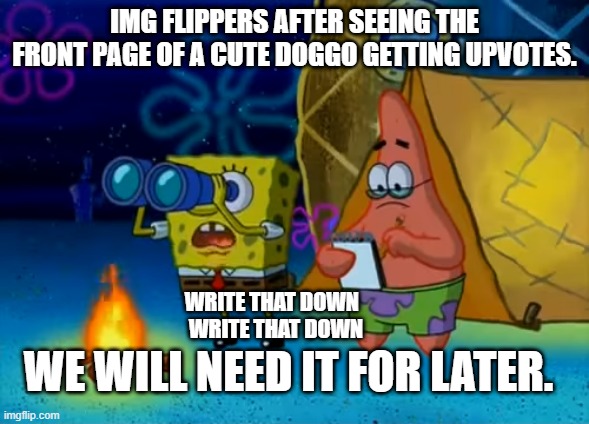 Write that down, WRITE THAT DOWN. | IMG FLIPPERS AFTER SEEING THE FRONT PAGE OF A CUTE DOGGO GETTING UPVOTES. WRITE THAT DOWN  
WRITE THAT DOWN; WE WILL NEED IT FOR LATER. | image tagged in write that down,imgflip,spongbob,patrick,memes,meme | made w/ Imgflip meme maker