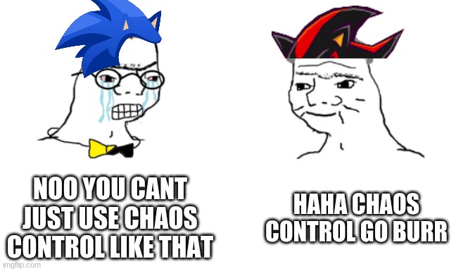 CHAOS CONTROL | NOO YOU CANT JUST USE CHAOS CONTROL LIKE THAT; HAHA CHAOS CONTROL GO BURR | image tagged in noooo you can't just | made w/ Imgflip meme maker