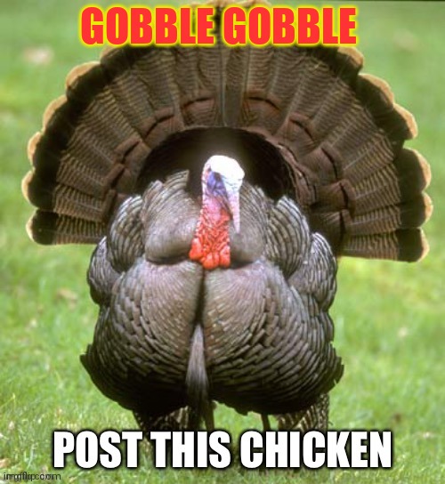 Happy Thanksgiving | GOBBLE GOBBLE | image tagged in post this chicken,happy thanksgiving,turkey,nom nom nom | made w/ Imgflip meme maker