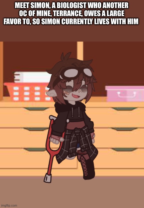 MEET SIMON, A BIOLOGIST WHO ANOTHER OC OF MINE, TERRANCE, OWES A LARGE FAVOR TO, SO SIMON CURRENTLY LIVES WITH HIM | made w/ Imgflip meme maker