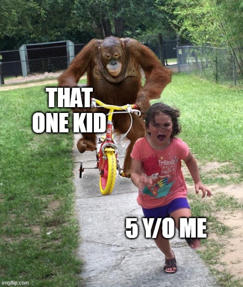 Run run that down,  run run that down | THAT ONE KID; 5 Y/O ME | image tagged in orangutan chasing girl on a tricycle,memes | made w/ Imgflip meme maker