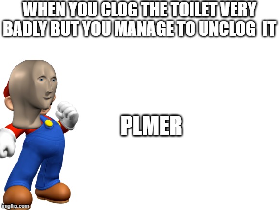 Blank White Template | WHEN YOU CLOG THE TOILET VERY BADLY BUT YOU MANAGE TO UNCLOG  IT; PLMER | image tagged in blank white template | made w/ Imgflip meme maker