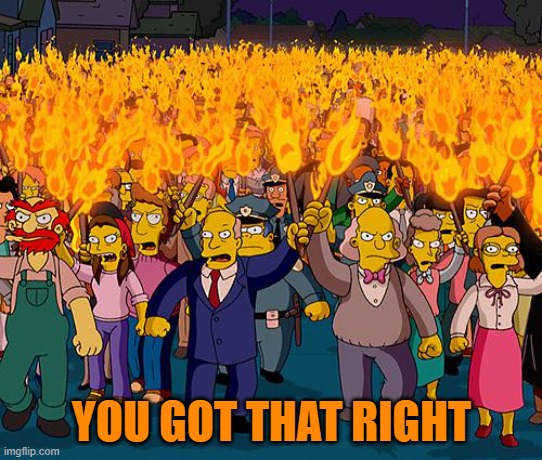 angry mob | YOU GOT THAT RIGHT | image tagged in angry mob | made w/ Imgflip meme maker