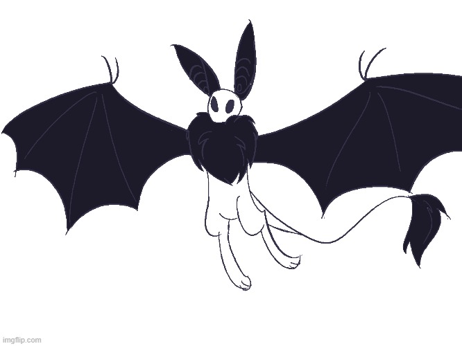 His name is Taboo | image tagged in fluffy,bat,thing | made w/ Imgflip meme maker