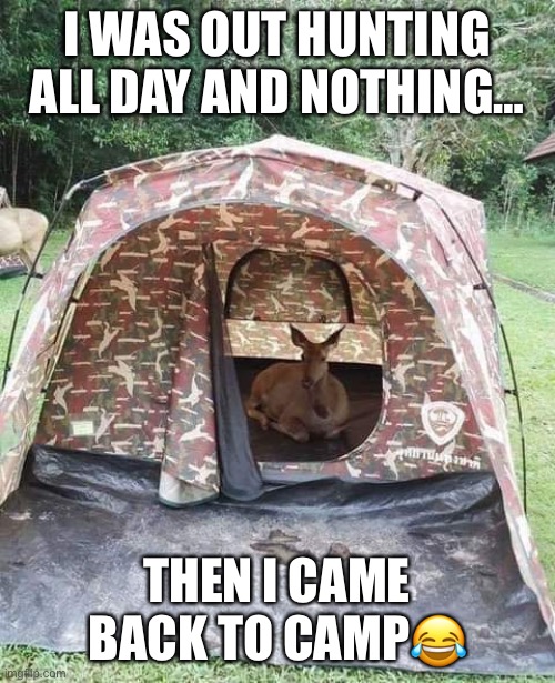 I WAS OUT HUNTING ALL DAY AND NOTHING…; THEN I CAME BACK TO CAMP😂 | image tagged in funny meme | made w/ Imgflip meme maker