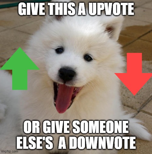 Demanding Doggo | GIVE THIS A UPVOTE; OR GIVE SOMEONE ELSE'S  A DOWNVOTE | image tagged in samoyed | made w/ Imgflip meme maker