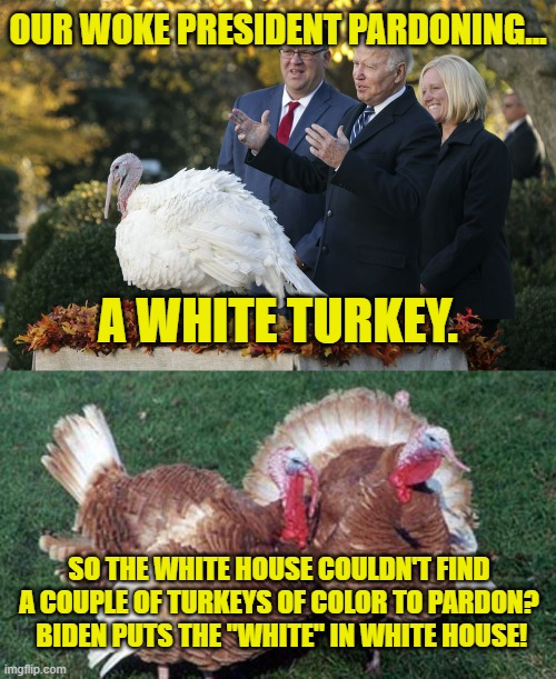 White House, White Supremacy! |  OUR WOKE PRESIDENT PARDONING... A WHITE TURKEY. SO THE WHITE HOUSE COULDN'T FIND A COUPLE OF TURKEYS OF COLOR TO PARDON?  BIDEN PUTS THE "WHITE" IN WHITE HOUSE! | image tagged in biden,turkey,pardon,white,brown,thanksgiving | made w/ Imgflip meme maker