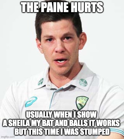 The Paine of Tim | THE PAINE HURTS; USUALLY WHEN I SHOW 
A SHEILA MY BAT AND BALLS IT WORKS 
BUT THIS TIME I WAS STUMPED | image tagged in tim in paine | made w/ Imgflip meme maker