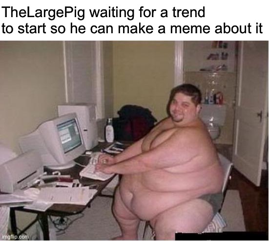 E | TheLargePig waiting for a trend to start so he can make a meme about it | image tagged in really fat guy on computer | made w/ Imgflip meme maker