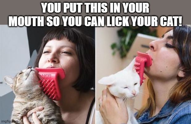 lick your cat | YOU PUT THIS IN YOUR MOUTH SO YOU CAN LICK YOUR CAT! | image tagged in cat,prop | made w/ Imgflip meme maker