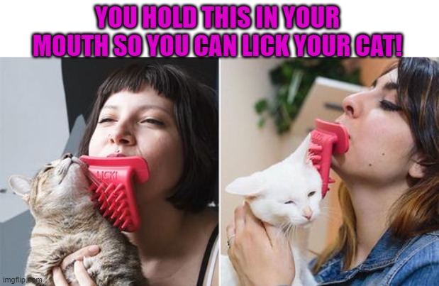 cat licker | YOU HOLD THIS IN YOUR MOUTH SO YOU CAN LICK YOUR CAT! | image tagged in toung,cat | made w/ Imgflip meme maker