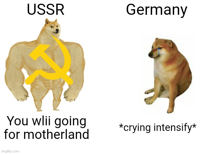 Buff Doge vs. Cheems | USSR; Germany; You wlii going for motherland; *crying intensify* | image tagged in memes,buff doge vs cheems | made w/ Imgflip meme maker