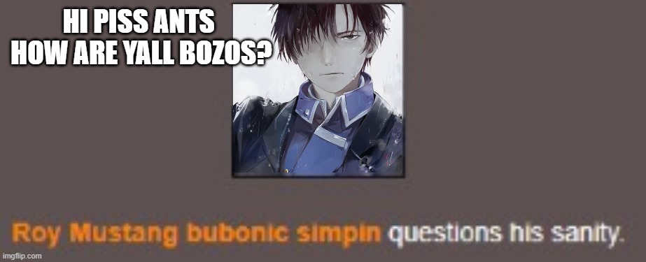Roy Mustang Questions his sanity | HI PISS ANTS 
HOW ARE YALL BOZOS? | image tagged in roy mustang questions his sanity | made w/ Imgflip meme maker