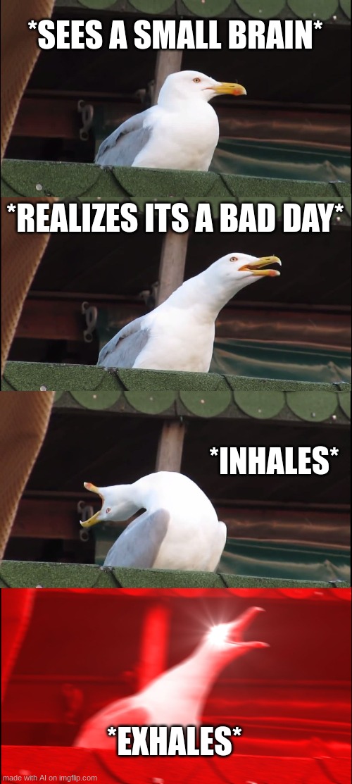 Inhaling Seagull | *SEES A SMALL BRAIN*; *REALIZES ITS A BAD DAY*; *INHALES*; *EXHALES* | image tagged in memes,inhaling seagull | made w/ Imgflip meme maker